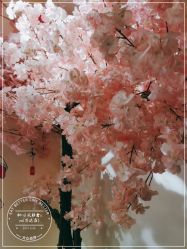 -和·日式轻奢spa