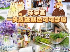 -中海环宇荟