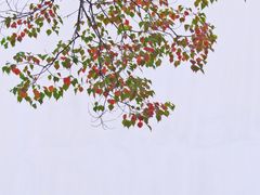 -老门东历史文化街区