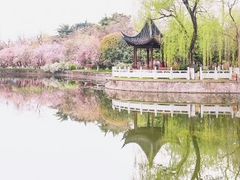 -莫愁湖公园