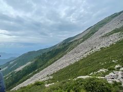 -朱雀国家森林公园