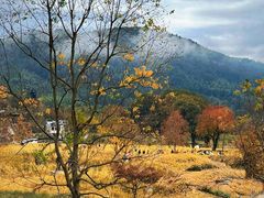 -塔川景区