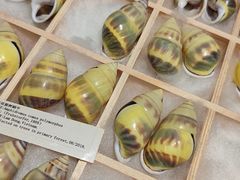 -摩登百货(岗顶店)