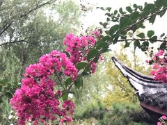 -瀛洲公园