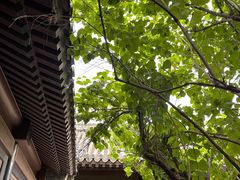 -VOYAGE COFFEE(北锣鼓巷店)