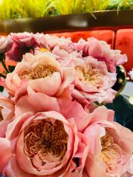 -花隐·美芙炫海菲秀皮肤管理中心