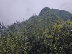 -娄山关景区