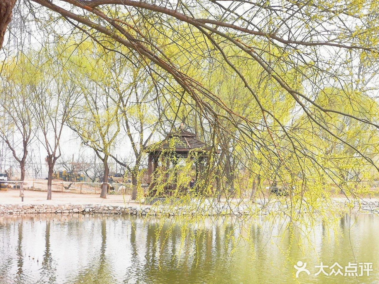 溜娃圣地[糖果]蓝可可亲子乐国[礼花]