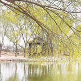 溜娃圣地[糖果]蓝可可亲子乐国[礼花]