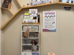 -美联众合爱康动物医院•复杂内科•肿瘤科•牙科•腔镜诊疗中心