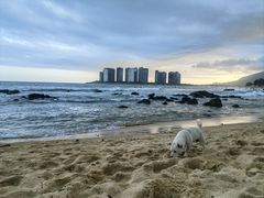 -日月湾海门游览区