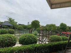 -灶头屋里