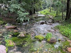 -玉渡山自然风景区