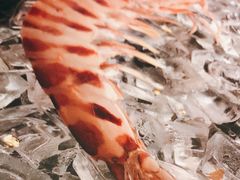 -石葵(锦业时代店)