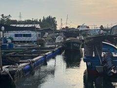 -蓝湾碧波·老字号·疍家非遗海上餐厅