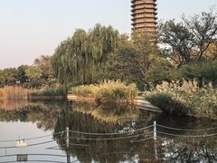 -西海子公园