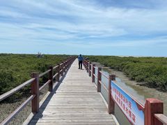 -北海金海湾红树林生态旅游区