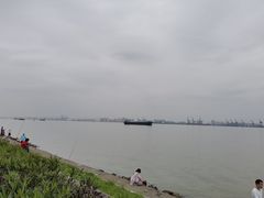 -海鸥岛