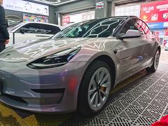 -TESLA 特斯拉(郑州正弘城体验店)