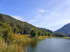 -广州市石门国家森林公园