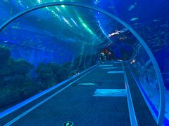 -成都浩海立方海洋公园