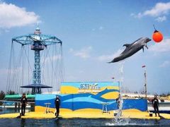 -秦皇岛乐岛海洋王国