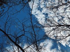 -云碧峰国家森林公园