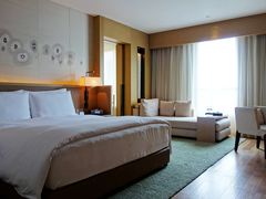 DSC02980-杭州逸酒店(西湖武林店)