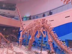 -陕西自然博物馆