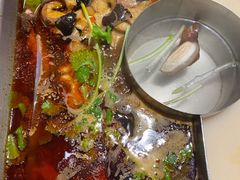 红汤梭边鱼锅-新辣道鱼火锅(国瑞城店)