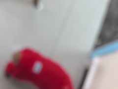 -全心全意连锁动物医院·微创中心·内科急重症·心脏专科(丰管路店)