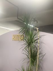 点击看大图 -XIMA·美发沙龙