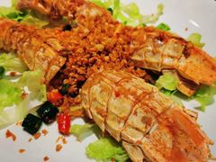 -猪肉婆私房菜(容桂总店)