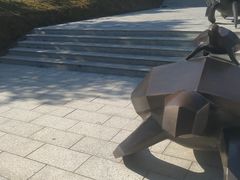 -广东惠东海龟国家级自然保护区