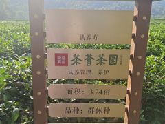-中国茶叶博物馆(双峰馆区)