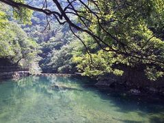 -白云源风景区