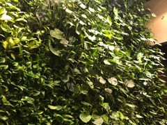 大堂-张福记(陇海中路店)