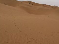 -黄沙古渡原生态旅游区