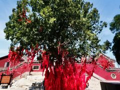 -青州市云门山风景区