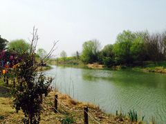 -梁鸿国家湿地公园