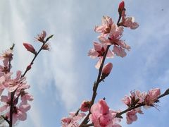 -艾溪湖湿地公园