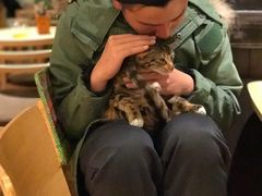 -猫的天空之城概念书店(杭州南宋御街店)