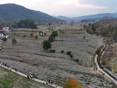 -塔川景区