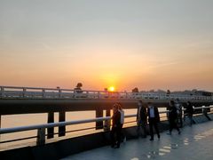 -演武大桥观景平台