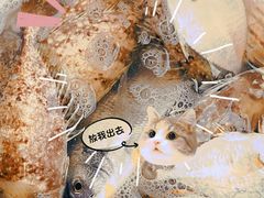 -众味海鲜大排档·活海鲜·潮汕味(南澳店)