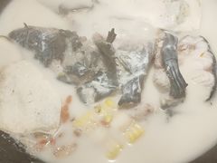 原味原汁锅-鲜潭蒸汽石锅鱼(五道口购物中心店)