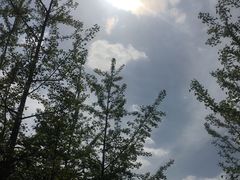 -凤栖山