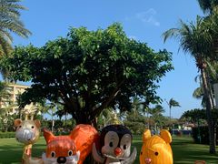 -三亚亚龙湾天域度假酒店