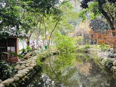 -成都市活水公园