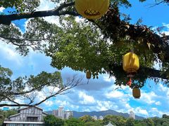 -江心屿景区